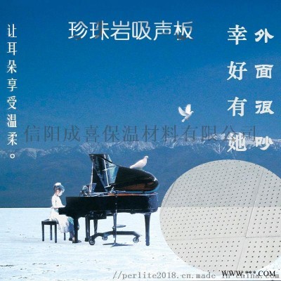 穿孔復(fù)合珍珠巖吸音板 杭州晶閃石600×600mm