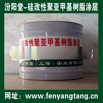 供應(yīng)、硅改性聚亞甲基樹(shù)脂涂料、汾陽(yáng)堂