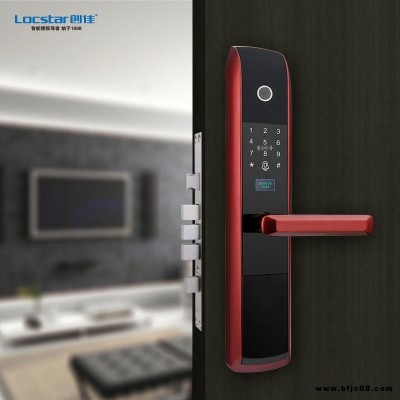 深圳創佳品牌LS-C20家用防盜智能鎖廠家電子鎖