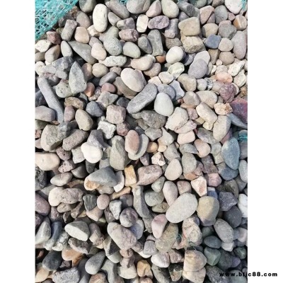 景觀石鵝卵石 鋪面鋪路專用鵝卵石  基地供應 碧之源