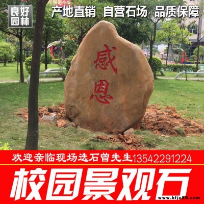校園景觀石 園林觀賞石 新品景觀石 園林布景觀賞石批發(fā)