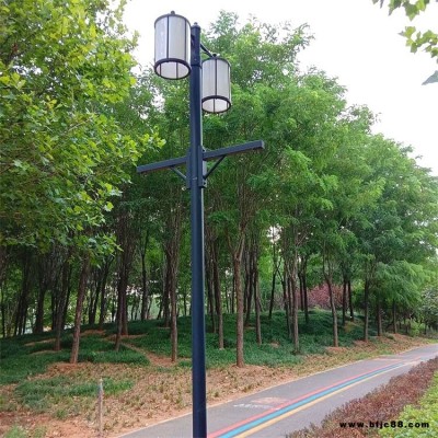 天光世紀星-3米4米小區公園庭院燈戶外LED燈
