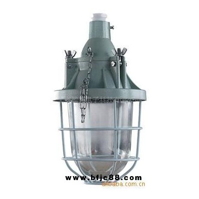 亞明防爆燈YMBAD52 隔爆型防爆燈具