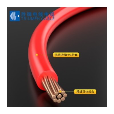 勝牌BVR6.0mm多芯多股火線 國標(biāo)銅芯軟線 插座照明線純銅芯軟電線