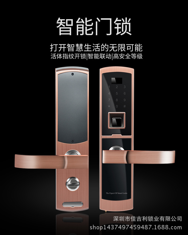 廠家直銷 指紋鎖 家用智能指紋鎖 量大可面談示例圖1