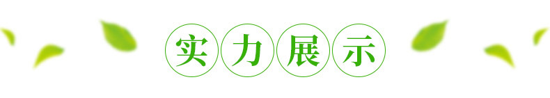 廣西景觀石，廣西園林石，廣西黃蠟石，廣西觀景石示例圖18