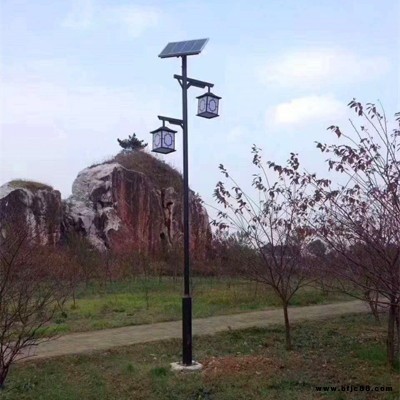 綠森芒 太陽能庭院燈 3米4米戶外公園LED照明 山東太陽能庭院燈廠家