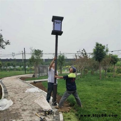 小區(qū)單臂中式庭院燈 LED戶外庭院燈 天光燈具