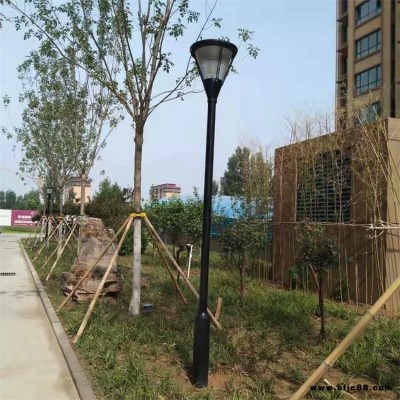 小區(qū)庭院燈 黃驊戶外庭院燈景觀燈-天光世紀(jì)星
