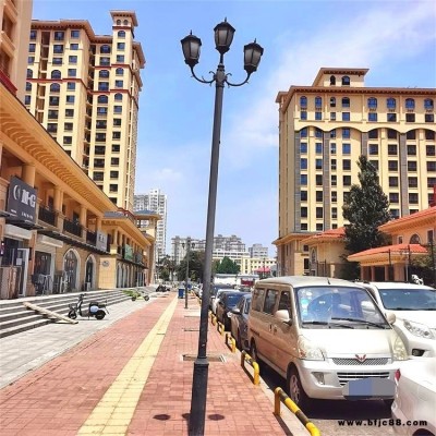 廊坊庭院燈 小區(qū)公園景觀庭院燈