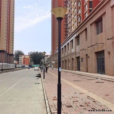 道路庭院燈 廊坊街道小區(qū)4米LED庭院燈