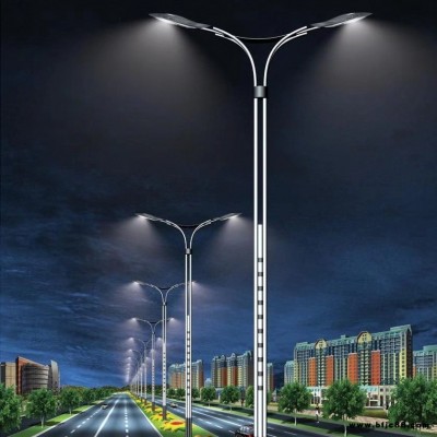 福建 元朗照明 廠家供應 可定制新農村市電互補太陽能路燈LED金豆燈具飛機燈6米30瓦LED庭院燈市電路燈 海螺臂