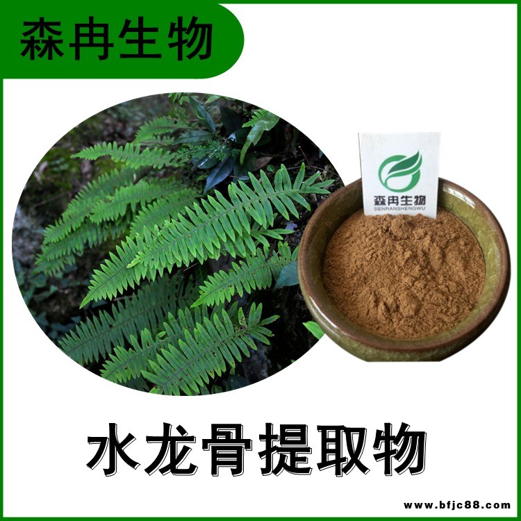 水龍骨提取物 青石蓮濃縮粉 比例提取 多種規(guī)格 森冉生物供應(yīng)