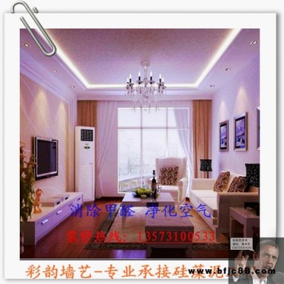 彩韻墻藝坊(圖)-吊頂硅藻泥多少錢-臨朐吊頂硅藻泥