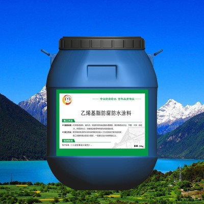 LM乙烯基酯防腐涂料 金虹盾 乙烯基酯復合防腐防水涂 丙乙烯酸酯防腐涂料