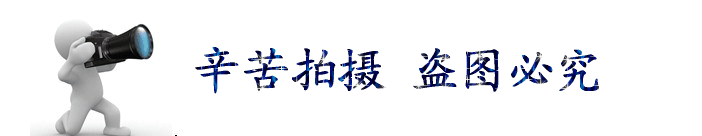 電動(dòng)調(diào)節(jié)通風(fēng)蝶閥生產(chǎn)廠家 氣動(dòng)碳鋼管道通風(fēng)閥 價(jià)格優(yōu)惠示例圖20