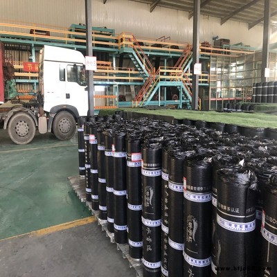 改性瀝青防水卷材   SBS防水卷材 app瀝青防水卷材