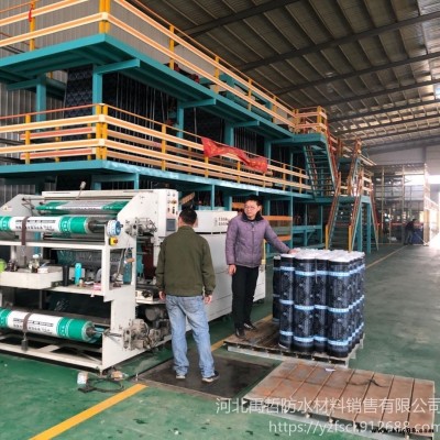 北京順義廠家直銷SBS火烤型 防水卷材 昕宇虹防水卷材 耐根穿刺防水卷材