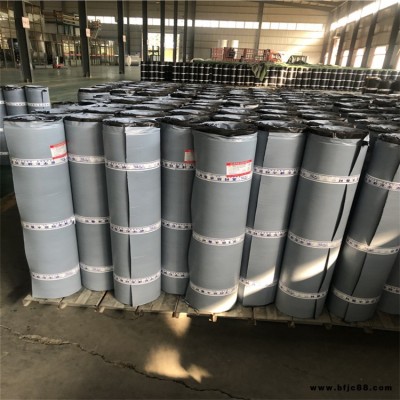 青海改性瀝青防水卷材大量現(xiàn)貨       禹哲防水材料化學(xué)阻根防水卷材大量現(xiàn)貨