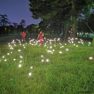 新款太陽能草坪燈戶外花園庭院地插景觀燈風(fēng)動(dòng)搖擺螢火蟲