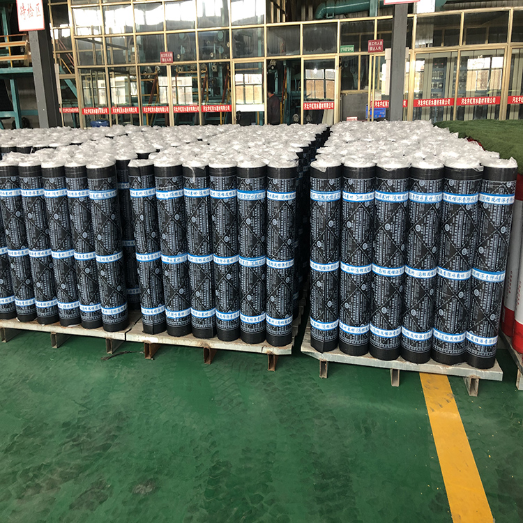 防水卷材  聚乙烯防水卷材  專業(yè)供應