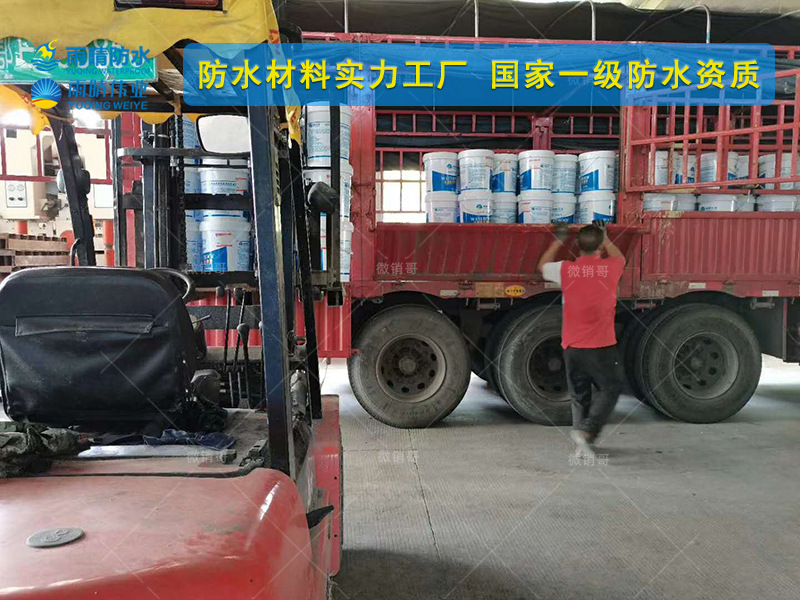 呼倫貝爾JS聚合物修補堵漏劑涂料廠家批發